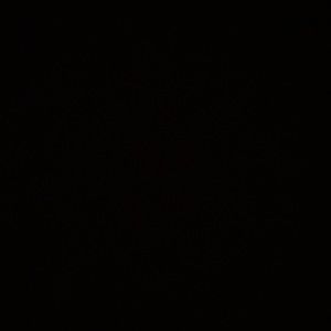 Meet your Posher, Felix